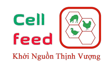 Công Ty Cổ Phần Cell Feed VN